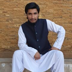 Adil Iqbal khan, IT Specialist
