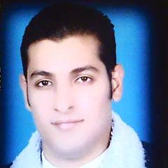 Ahmed Abdelaleem Hellal Ali