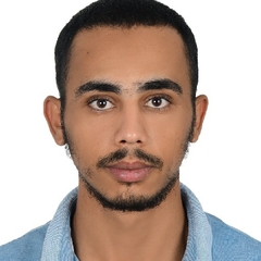 Alaa Rmadan