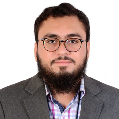 Muhammad Arsalan, SAP FICO Consultant