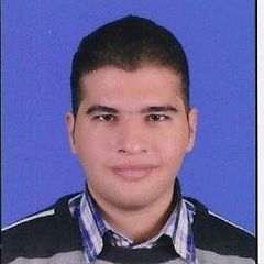 محمد المصري, cost control engineer