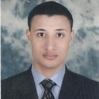 Walid Gomaa Ahmed, Marketing Manager
