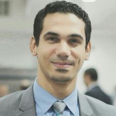 Al Husseini Adel  Kamel, Sales manager