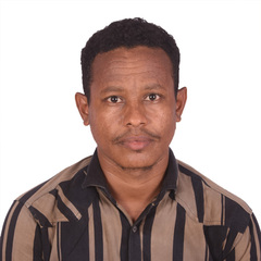 Mansour Abdelgaum dafalla ahmed 