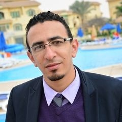 عمر الحلوجى, AML consultant