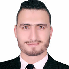 Rady Ibrahim Mahmoud, Accountant