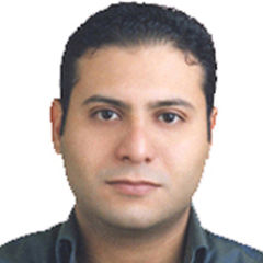 Mohamed Mahmoud, Project Manager