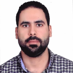 Mohamed Mahmoud Ali Ghazy, Senior Software Developer