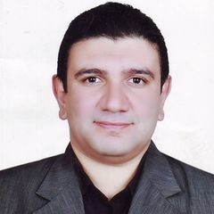 Ahmed Farouk, محاسب مالي - مراجع حسابات