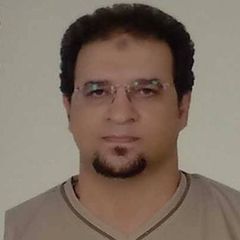 Mostafa Fouad Badr بدر, مدير مالي
