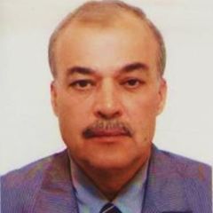 Adel Suleiman, Project  Manager, Consultant