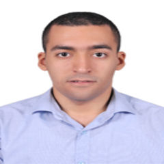 عمرو حسن محمود عبد الرازق, Accountant