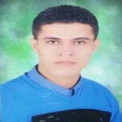 profile-هشام-ربيع-محمد-قريطم-29996187
