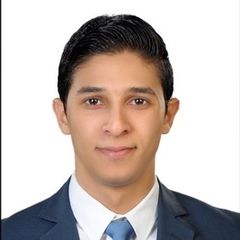  محمود سيد أحمد حسن أبوالليف, sales executive