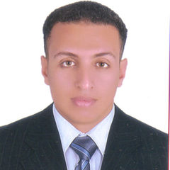 محمد محمود, محاسب