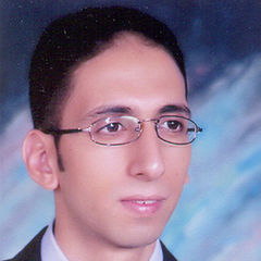 أحمد صلاح الدين توفيق حسانين, مدير نظم تكنولوجيا المعلومات والاتصالات