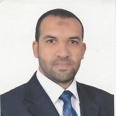 Alaa Abed, Sales Consultant