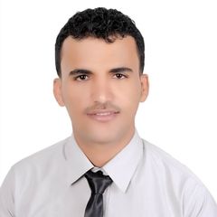 Mohammed Abdulaziz  Ahmmed  Almalgami, تصميم مواقع الانترنت والتسويق الالكتروني 