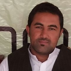 Afsar  Ali