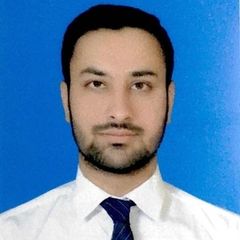 Ameer  Hamza, Safety Engineer