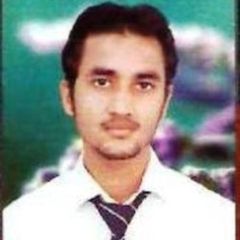 MOHD  HASAN MOIN, system assistant