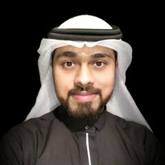 Ameer Assayegh, Business Intelligence and Application Developer