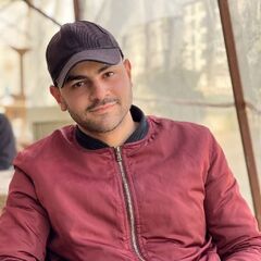 محمد عفيفي