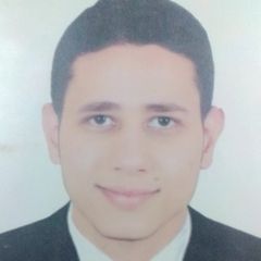Ahmed Fathey, محاسب مالى
