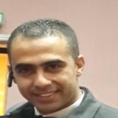 Mahmoud Elwazery, Application Analyst