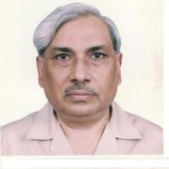 Syed Shabih-ul-Hassan  Zaidi, Spatial Planning Expert