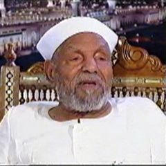 عماد حمدي محمد الصعيدى, امن وحراسه