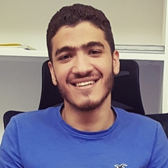 عمر لاشين, IT Engineer