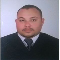 Ali Mohamed El Sagheer Ali  Ahmed
