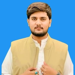 HAMZA  ALTAF