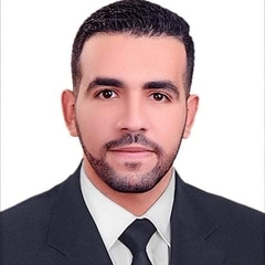 Mohamed  Saber Seleim 