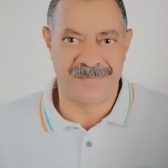 عماد على محمود, مدير مبيعات الصعيد والبحر الأحمر 