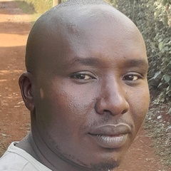 Harrison kamau