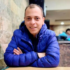 amir shahin, FREELANCE FRONT-END DEVELOPER