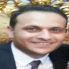 hatem Samir Salem El-Srogy, Accounts Manager