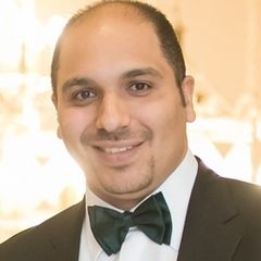 محمد احمد  ذكي, مراجع حسابات ( محاسب قانوني) 