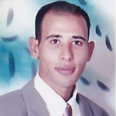 Ahmed Fouad, مدير قطاع الخرسانة