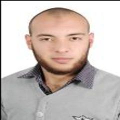 محمد سرحان, محاسب ومسئول حجز طيران