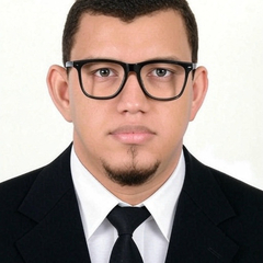 Mostafa Badr El Deen Hashem