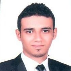 محمود رزق محمود هويدى, محاسب