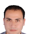 محمود محمد ابراهيم المهدي المهدي, مساح عام