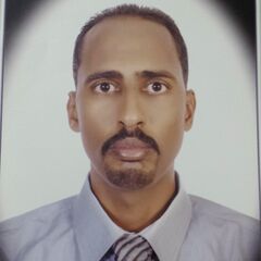 يوسف الامين الريح محمد, Projects & service engineer