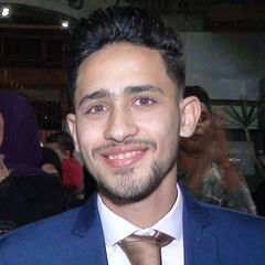 Ahmed Mahmoud Kamel Elbana
