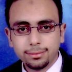 Ahmed Shawky Abd El Fattah Mattar, java (J2EE) Web Developer