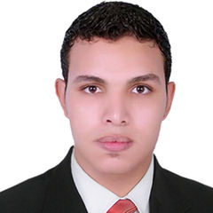 mohammed essam ahmed elsayed gaafar, product file data entry