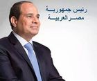 walaa fared